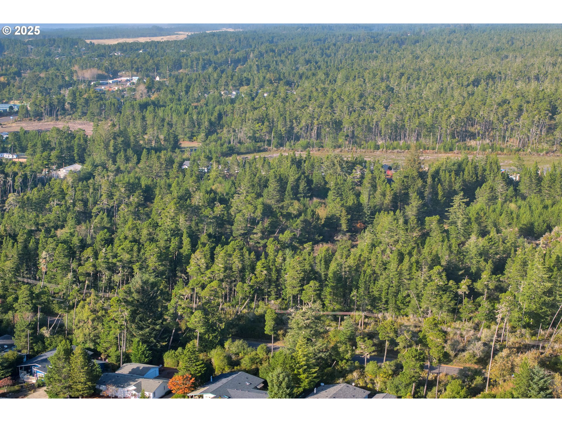 Munsel Lake-tl00301 Road Florence, OR 97439 - Photo 16 of 19 a view of a lush green forest with trees and some houses