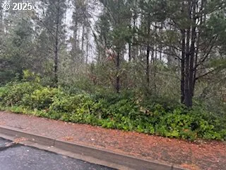 a view of a garden with a tree