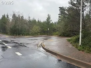 a view of a dry yard with trees