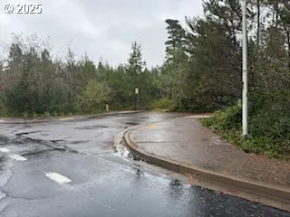 a backyard of a house with trees all around