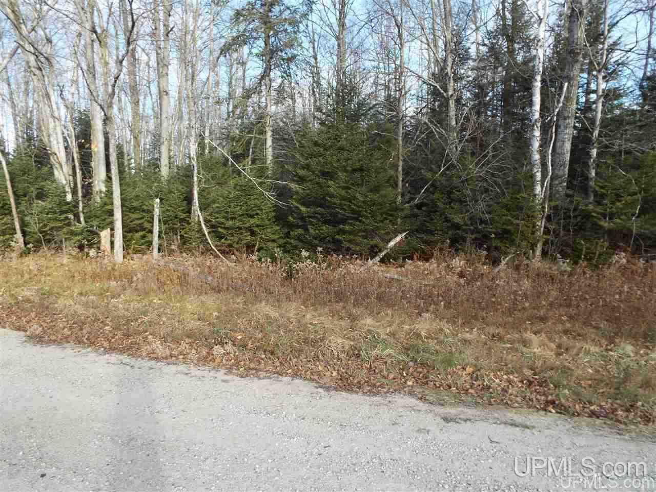 Tbd Us2 Gulliver, MI 49840 - Photo 1 of 7