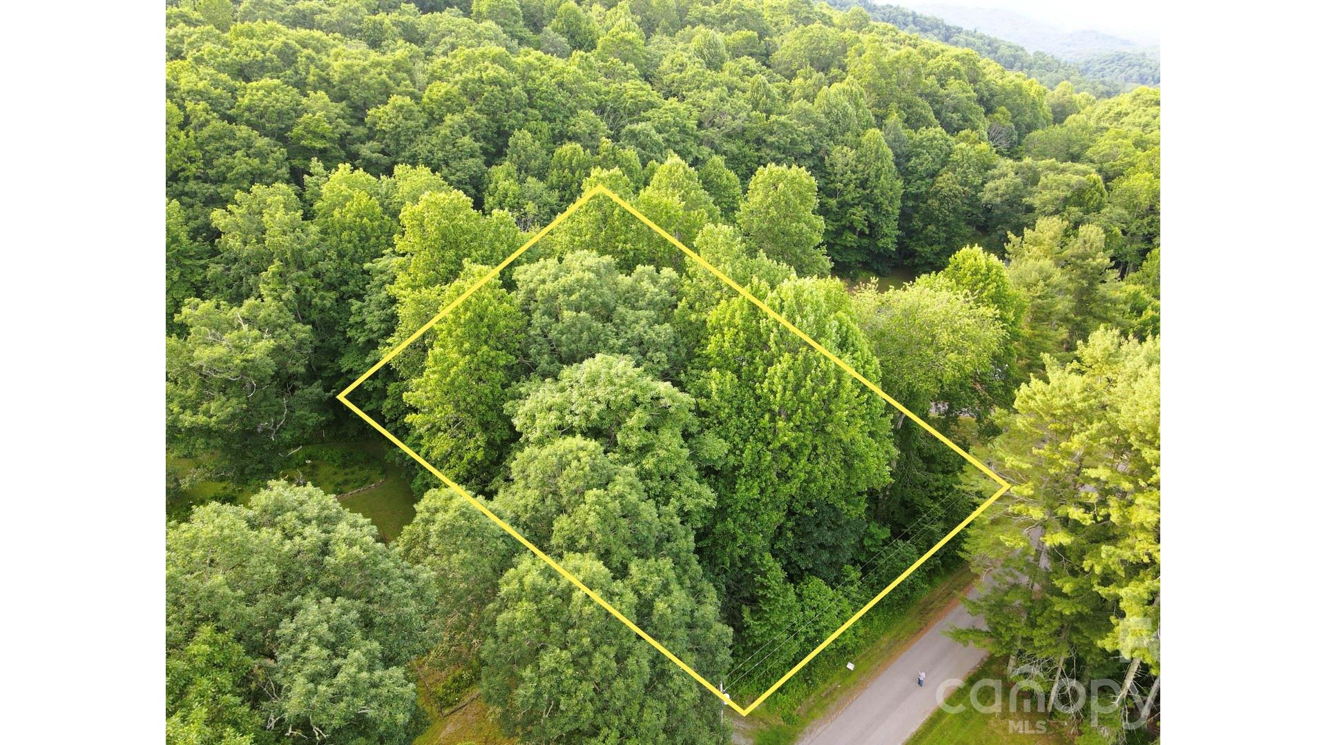 1 Coffey Road Linville, NC 28646 - Photo 2 of 17 Gallery Image 2