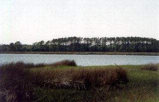 409 Pelican Harbor Road Beaufort, NC 28516 - Photo 1 of 1 Listing Photo