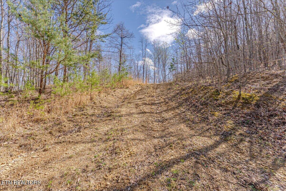 422 Crooked Branch Road Huntsville, TN 37756 - Photo 22 of 35 32-1st Clearing Drive A1