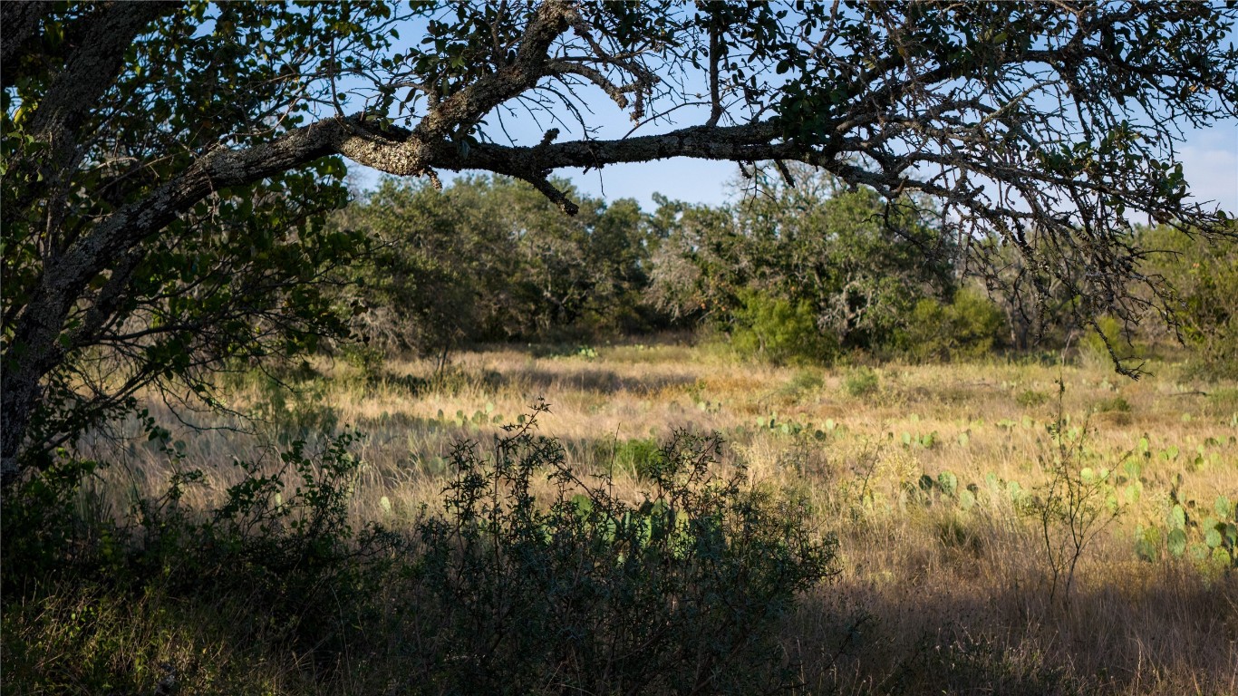 8500 Buck Ridge Drive Brady, TX 76825 - Photo 11 of 32 a view of a yard with large trees