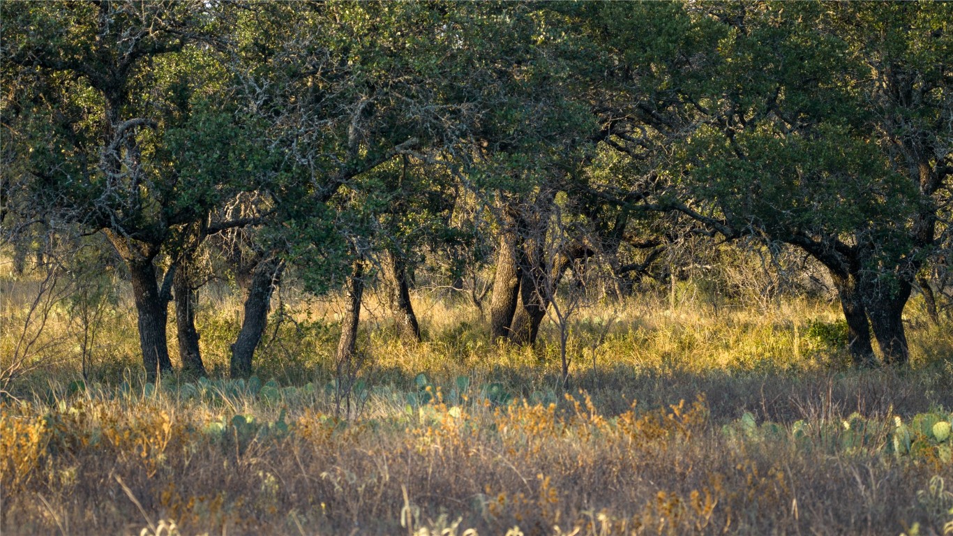 8500 Buck Ridge Drive Brady, TX 76825 - Photo 13 of 32 a view of lake from a lake