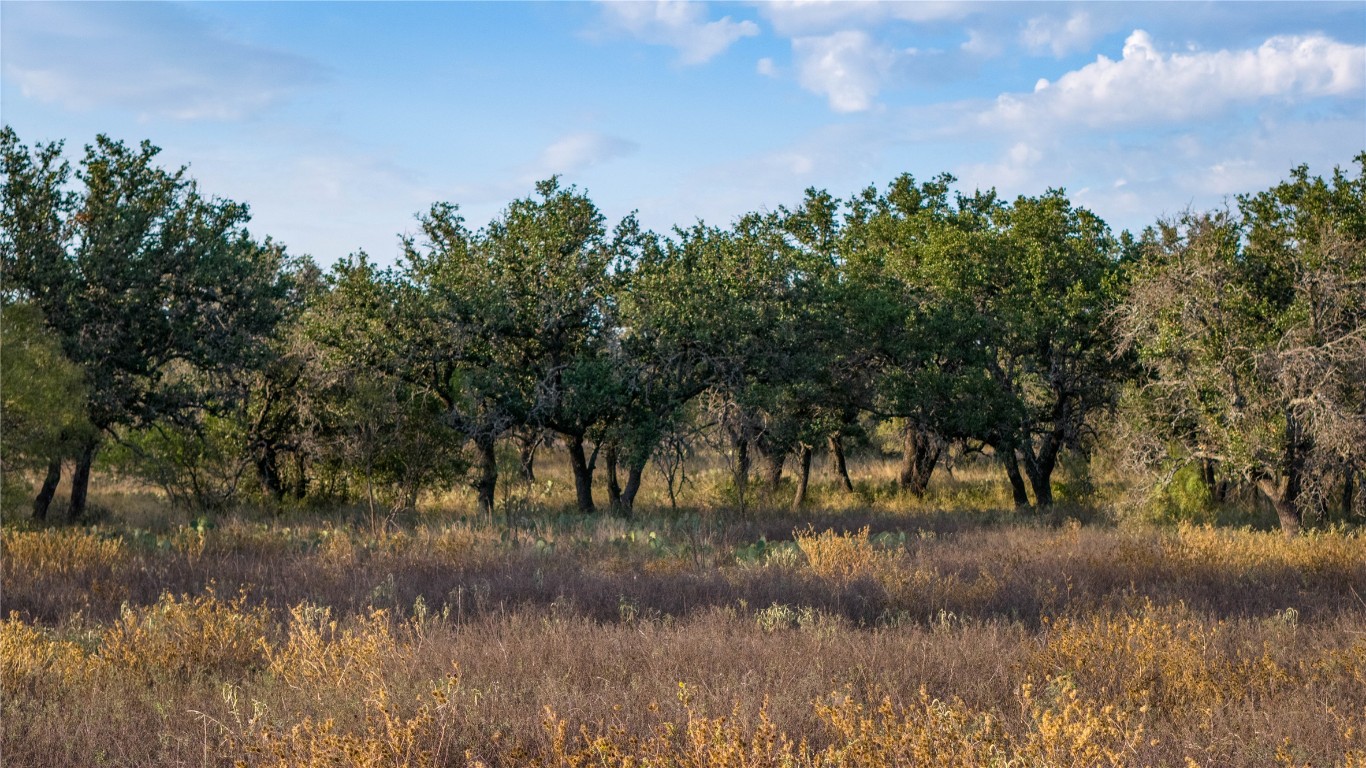 8500 Buck Ridge Drive Brady, TX 76825 - Photo 16 of 32 a view of a lake with a forest