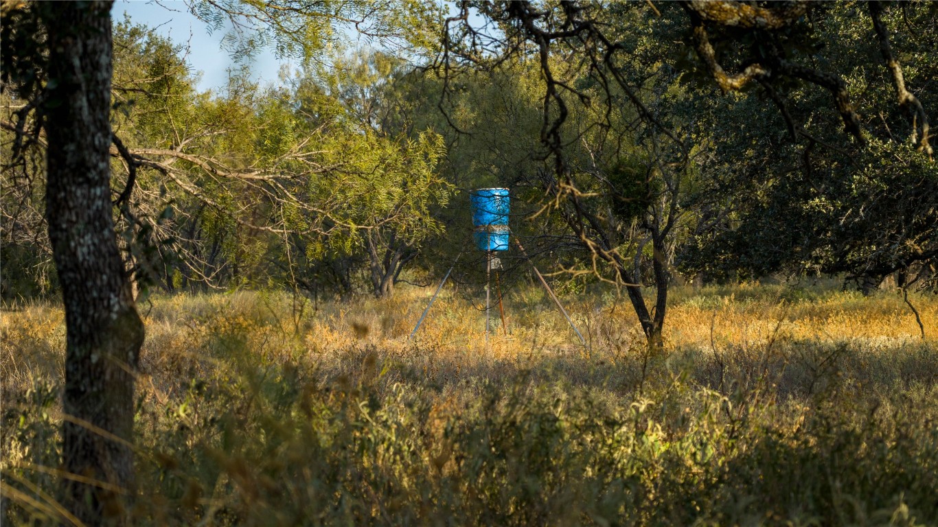 8500 Buck Ridge Drive Brady, TX 76825 - Photo 17 of 32 a view of swimming pool next to a yard