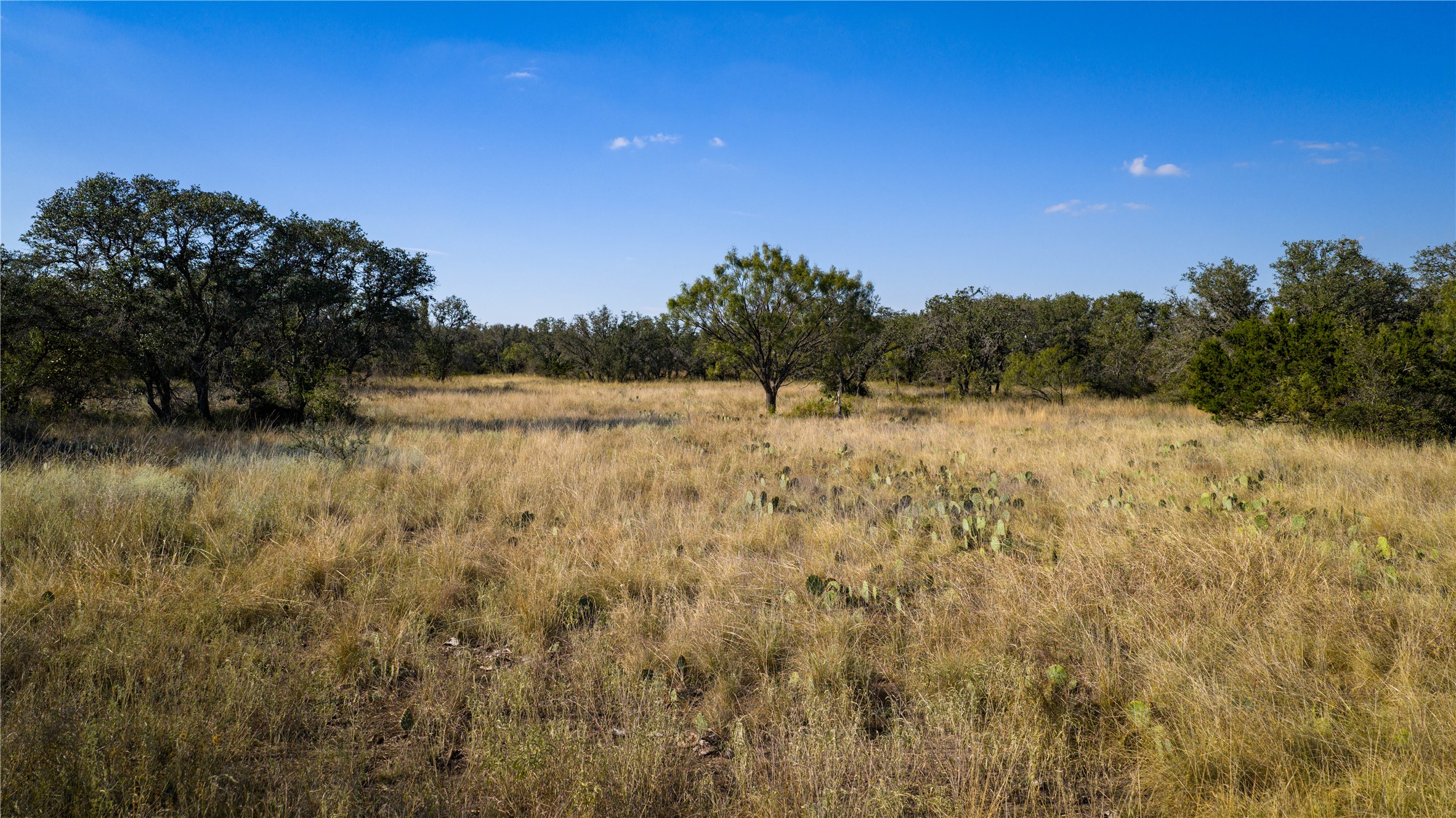 8500 Buck Ridge Drive Brady, TX 76825 - Photo 18 of 32 a view of a yard with a tree