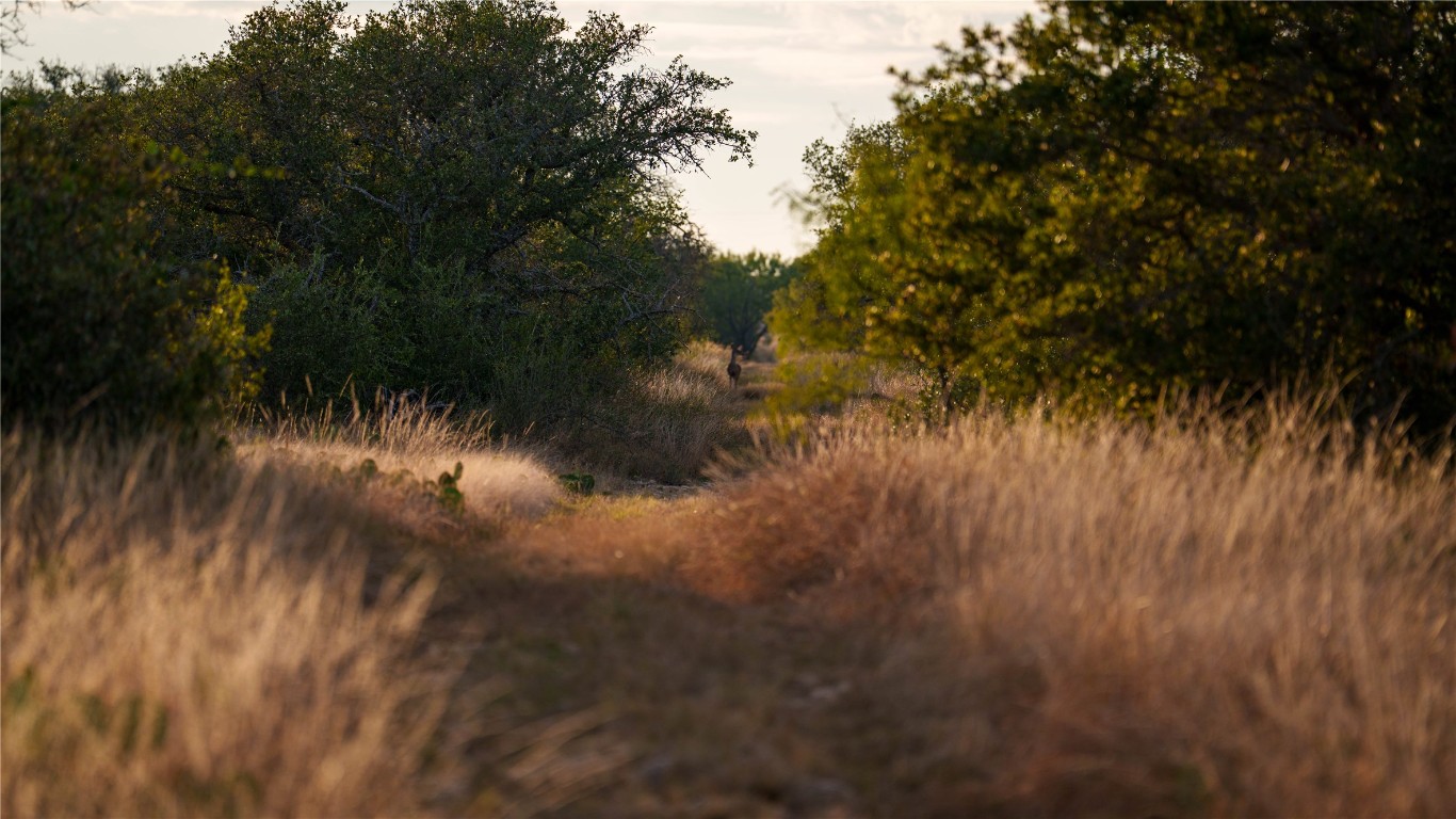 8500 Buck Ridge Drive Brady, TX 76825 - Photo 2 of 32 a view of a lake