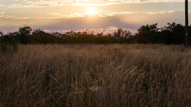 a view of a field with an ocean