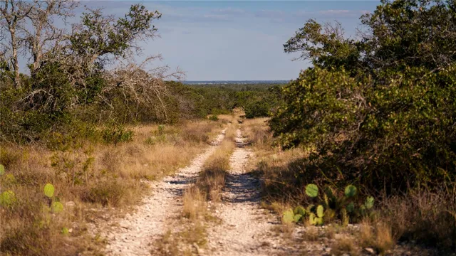 a view of outdoor space and covered with trees