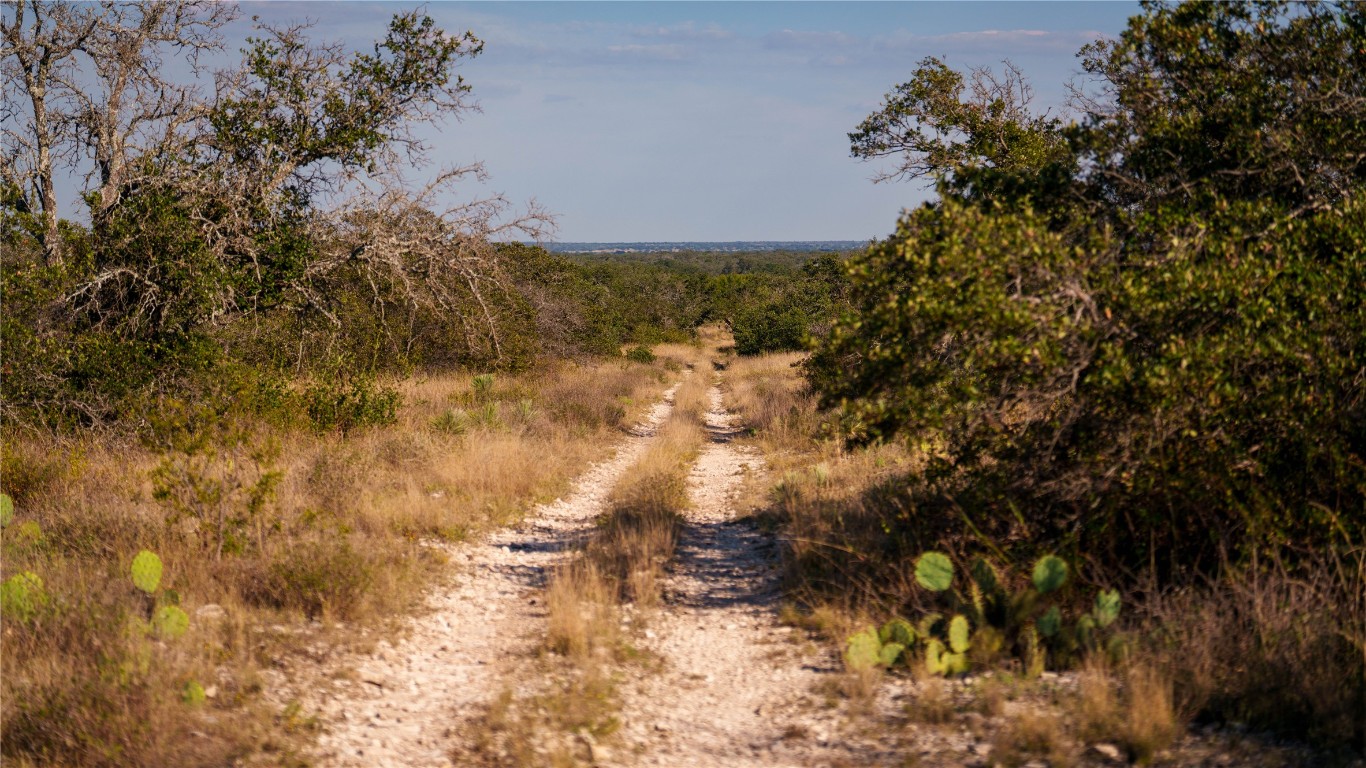 8500 Buck Ridge Drive Brady, TX 76825 - Photo 3 of 32 a view of outdoor space and covered with trees