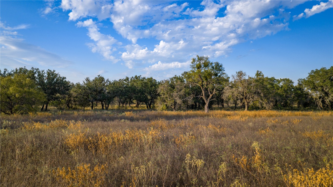 8500 Buck Ridge Drive Brady, TX 76825 - Photo 6 of 32 a view of a yard with a tree