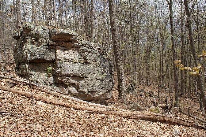 7308 Mill Branch Road Covington, VA 24426 - Photo 13 of 28 Rock Near Top of Mountain