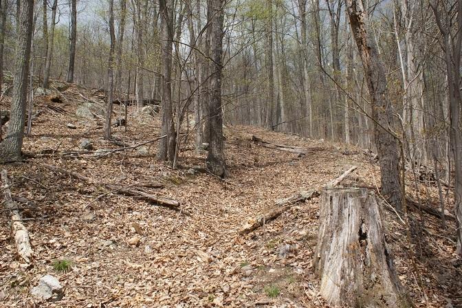 7308 Mill Branch Road Covington, VA 24426 - Photo 14 of 28 Road Near Top of Mountain