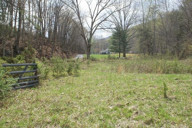 7308 Mill Branch Road Covington, VA 24426 - Photo 15 of 28 Pasture Along Creek