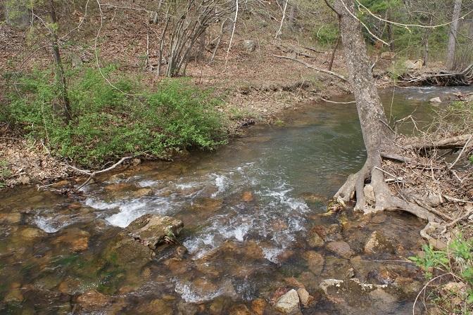 7308 Mill Branch Road Covington, VA 24426 - Photo 18 of 28 Mill Branch Creek