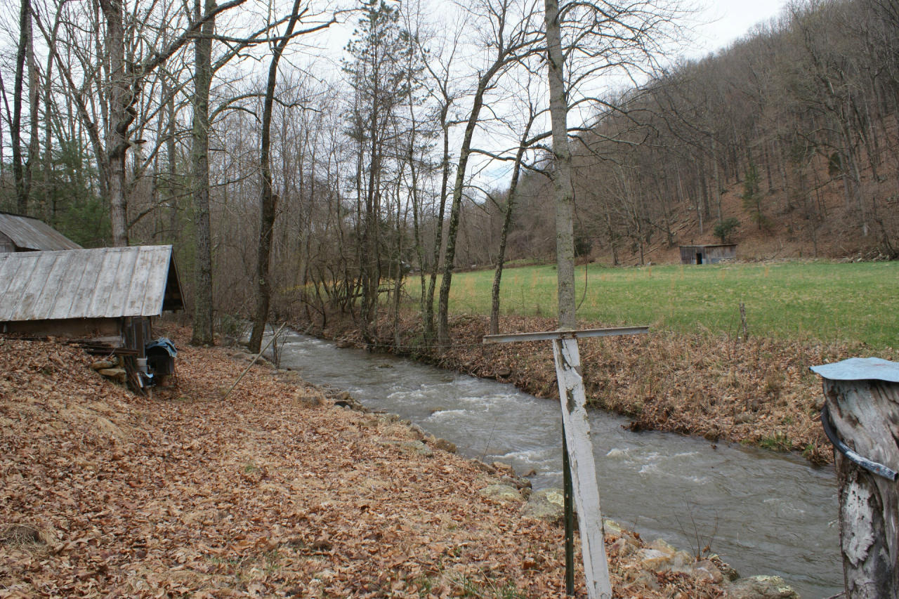 7308 Mill Branch Road Covington, VA 24426 - Photo 3 of 28 Mill Branch Creek and Pasture Field