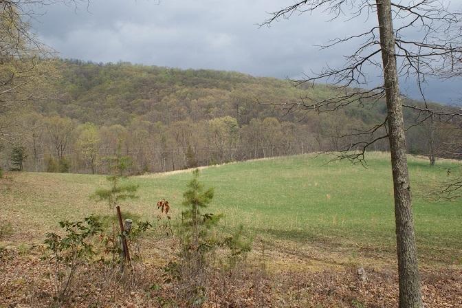 7308 Mill Branch Road Covington, VA 24426 - Photo 21 of 28 Hill Top Field & House Site