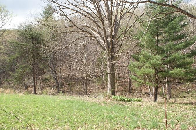 7308 Mill Branch Road Covington, VA 24426 - Photo 25 of 28 Creek Field