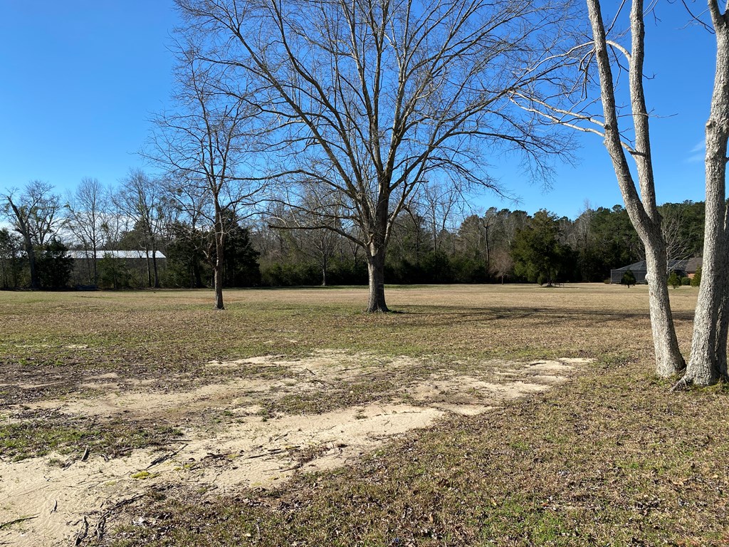 95 Williamson Way Dothan, AL 36301 - Photo 2 of 4