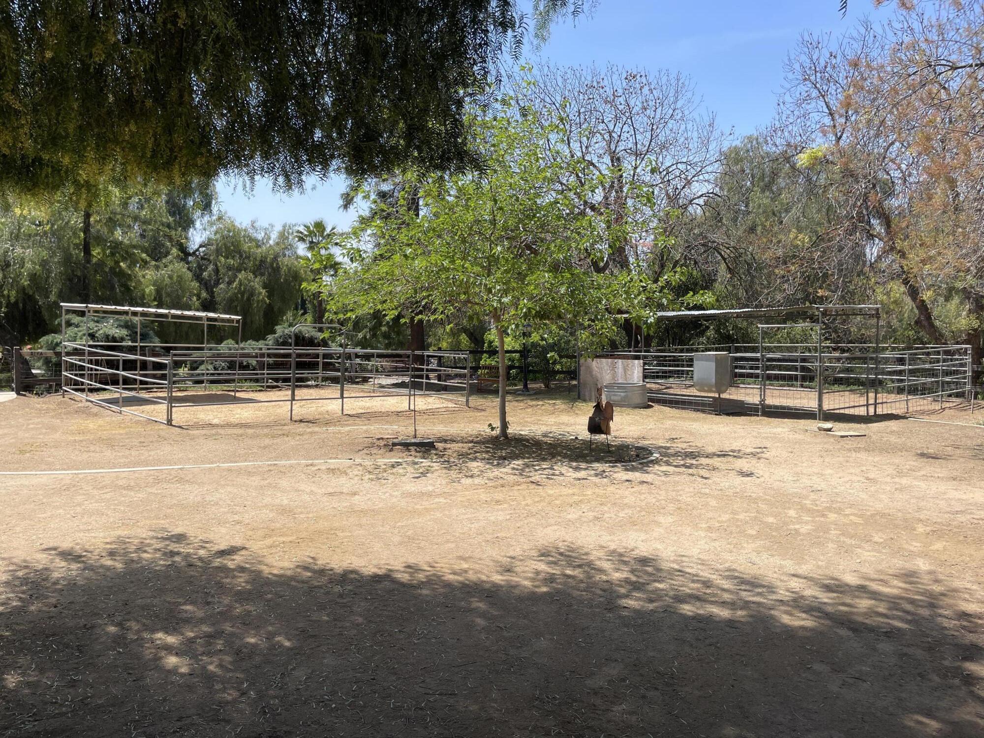 38540 Alva Drive Cherry Valley, CA 92223 - Photo 42 of 60 a view of a yard with a bench