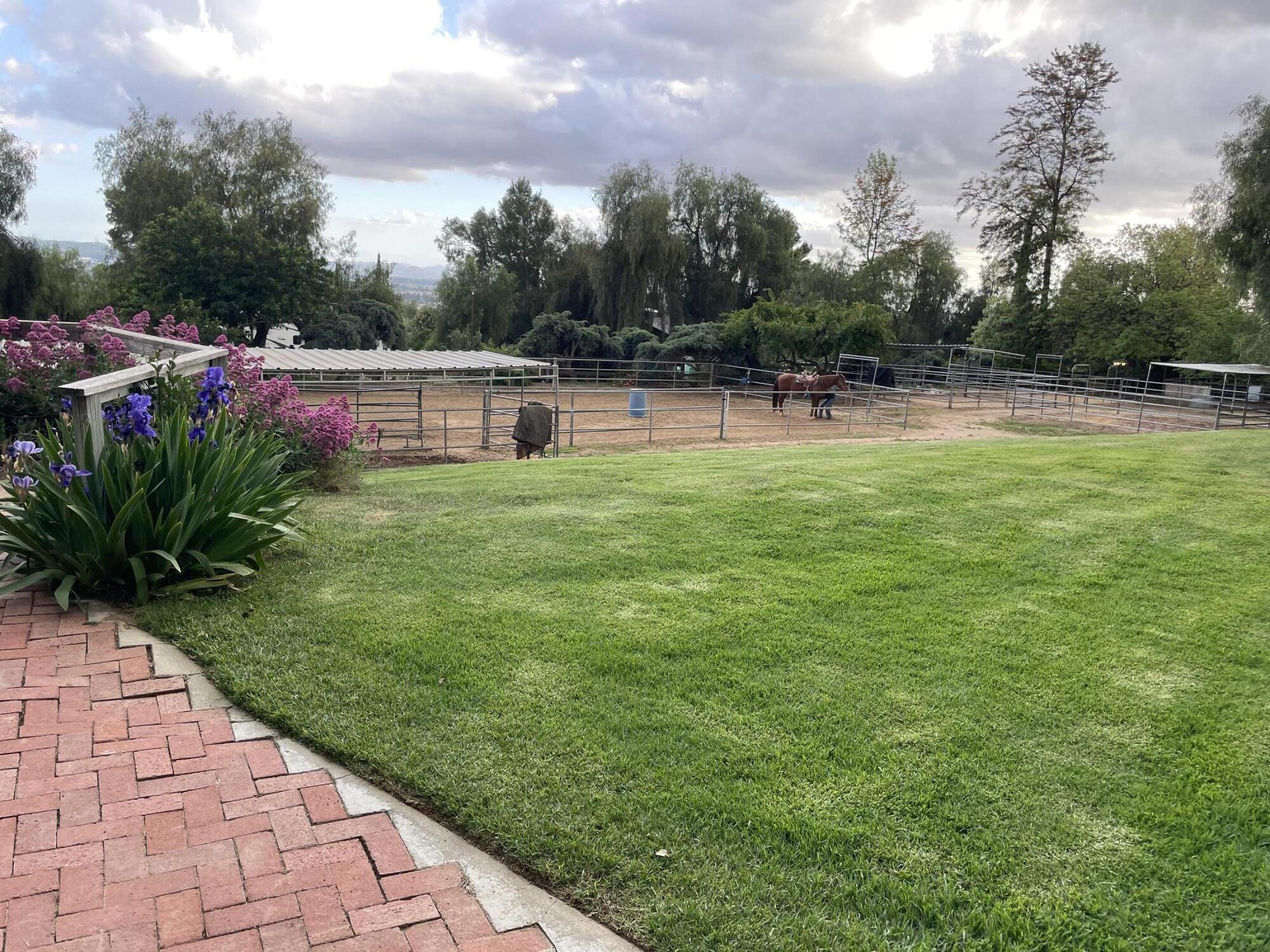 38540 Alva Drive Cherry Valley, CA 92223 - Photo 47 of 60 a front view of a house with a yard