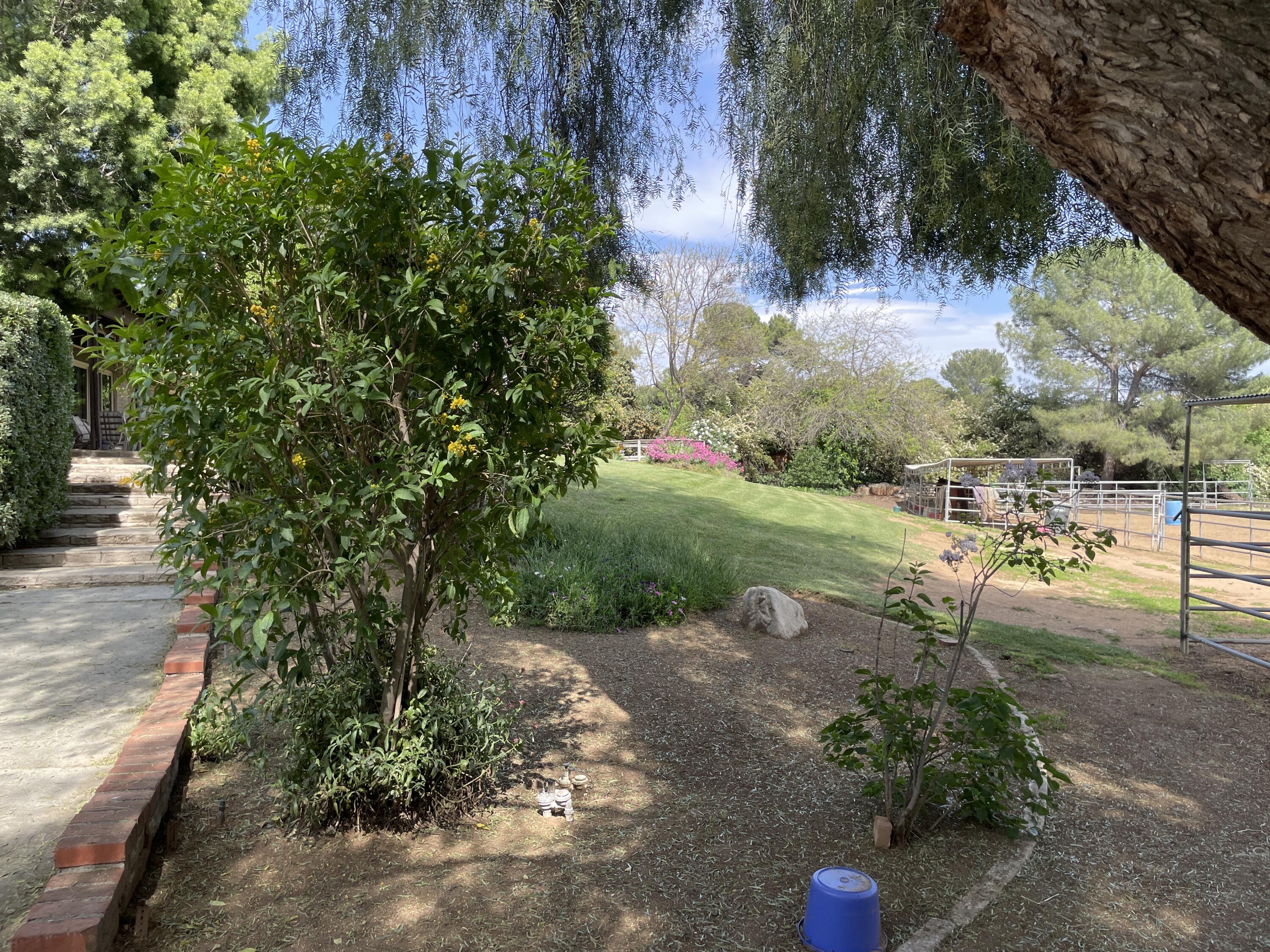 38540 Alva Drive Cherry Valley, CA 92223 - Photo 50 of 60 Walkway to house and horses