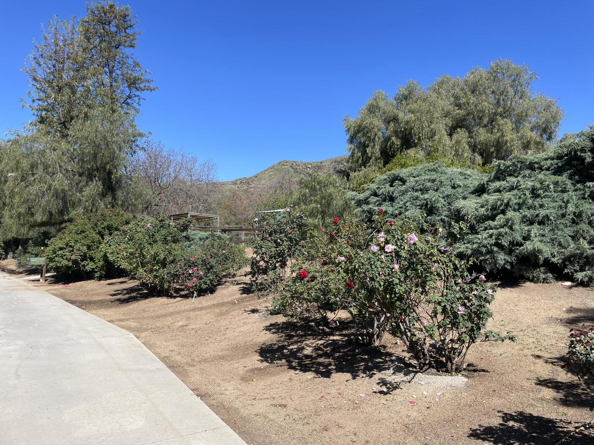 38540 Alva Drive Cherry Valley, CA 92223 - Photo 55 of 60 a view of a pathway with a park