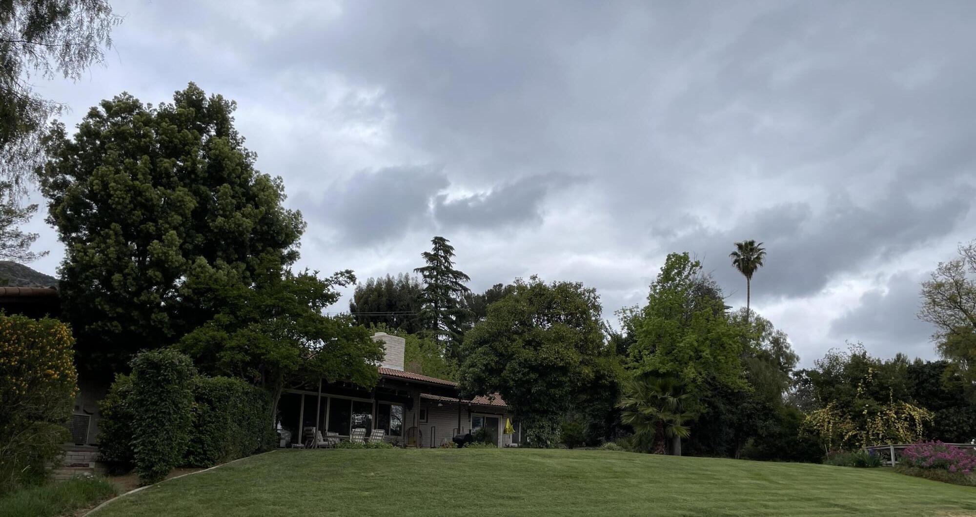 38540 Alva Drive Cherry Valley, CA 92223 - Photo 7 of 60 a view of a garden