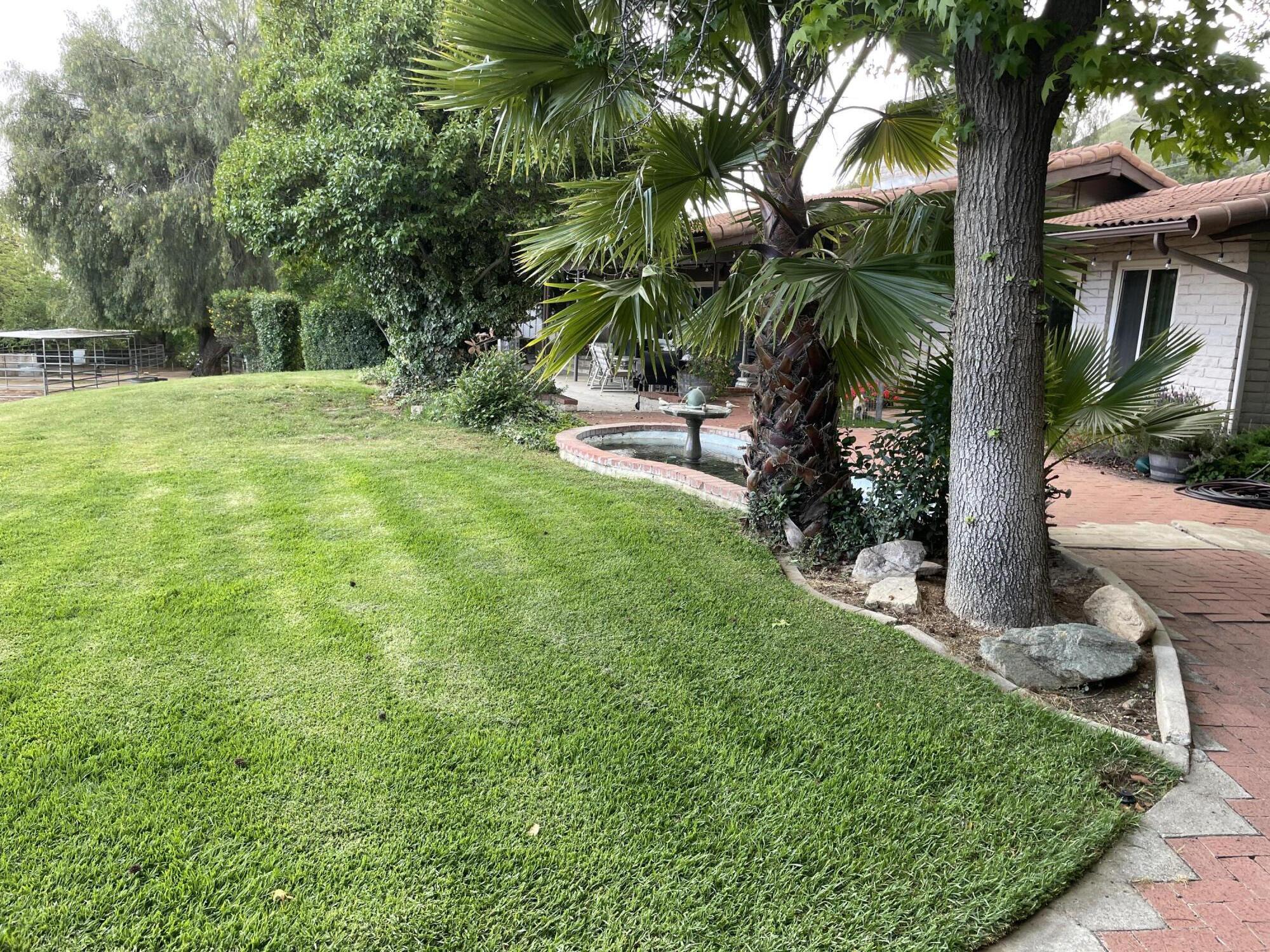 38540 Alva Drive Cherry Valley, CA 92223 - Photo 8 of 60 a view of a yard with a tree