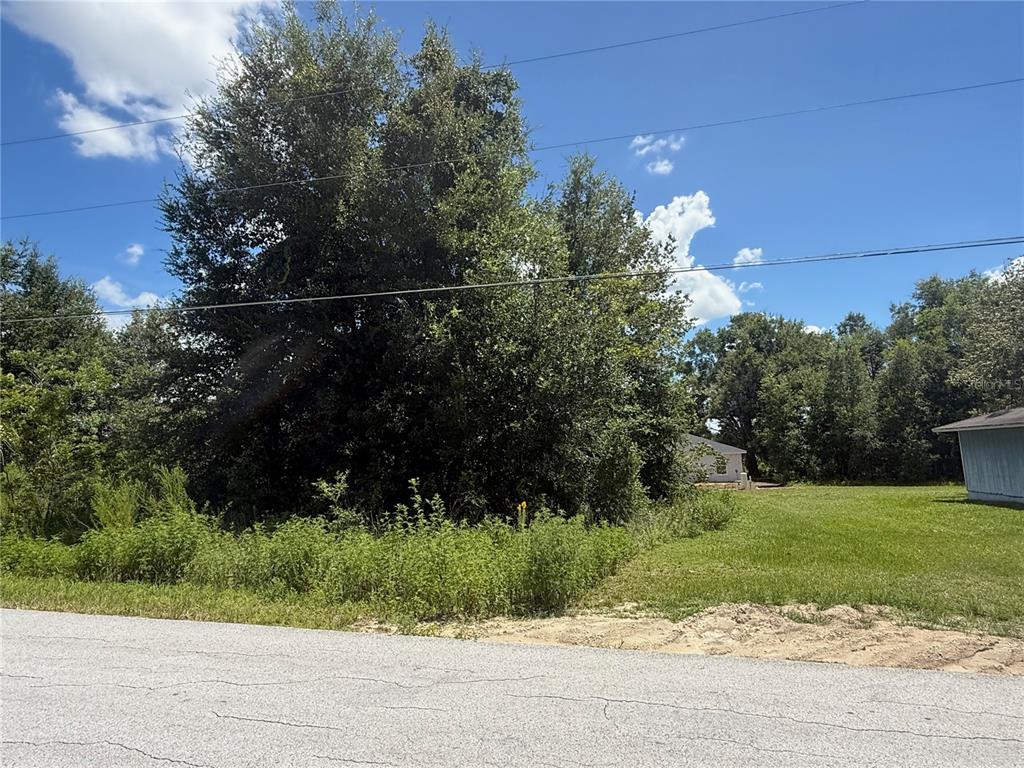 0 Northwest 2nd Place Ocala, FL 34482 - Photo 7 of 12 a view of a yard with potted plants and large trees