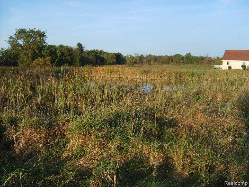 4242 Cade Road Capac, MI 48014 - Photo 3 of 3 S5007808