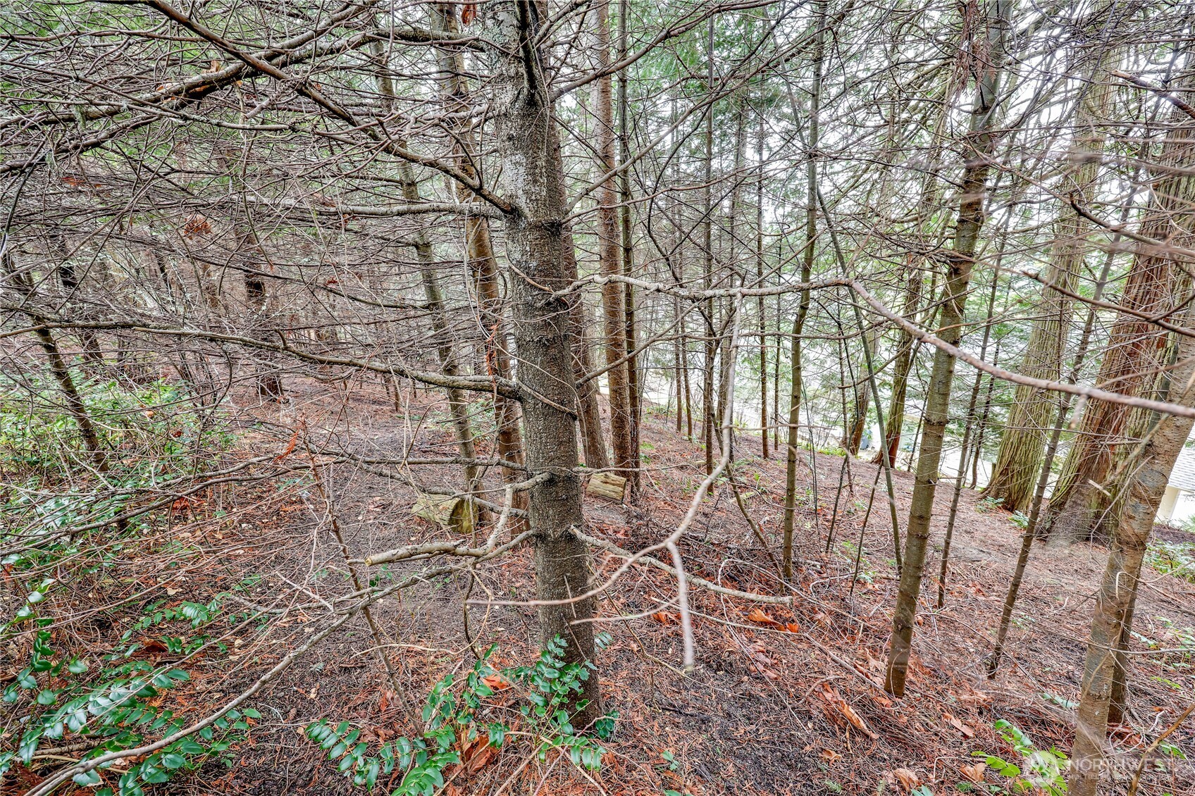 0 Vancouver Place Sequim, WA 98382 - Photo 5 of 26 a backyard of a house with lots of green space