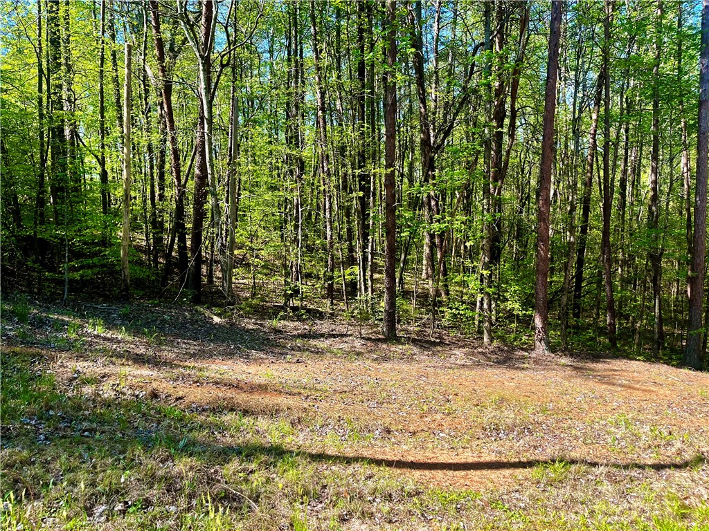 Lot 80 Sequoia Trail Westminster, SC 29693 - Photo 1 of 9