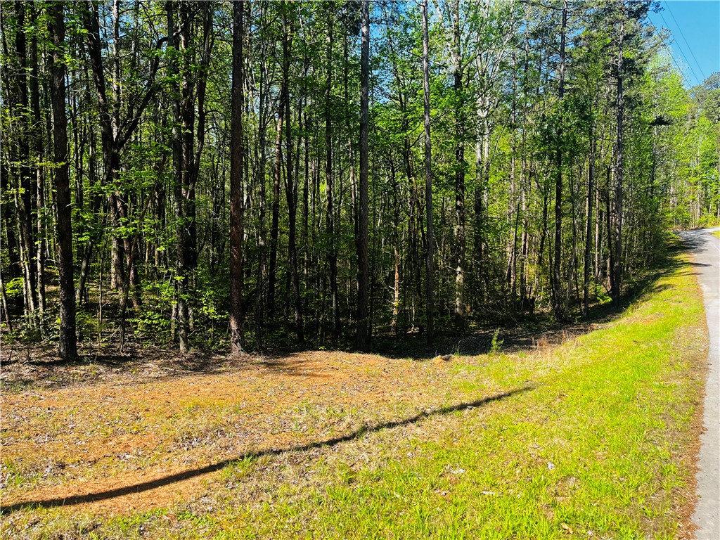 Lot 80 Sequoia Trail Westminster, SC 29693 - Photo 2 of 9