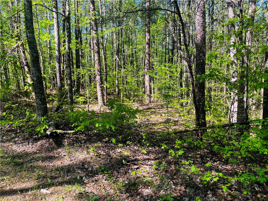 Lot 80 Sequoia Trail Westminster, SC 29693 - Photo 4 of 9
