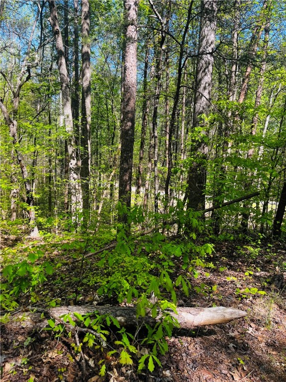 Lot 80 Sequoia Trail Westminster, SC 29693 - Photo 6 of 9