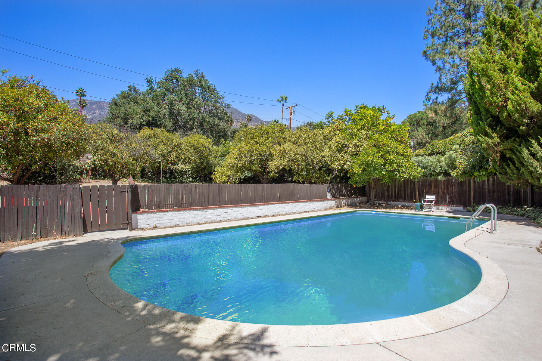 1647 Braeburn Road Altadena, CA 91001 - Photo 35 of 48 a view of a swimming pool with a yard