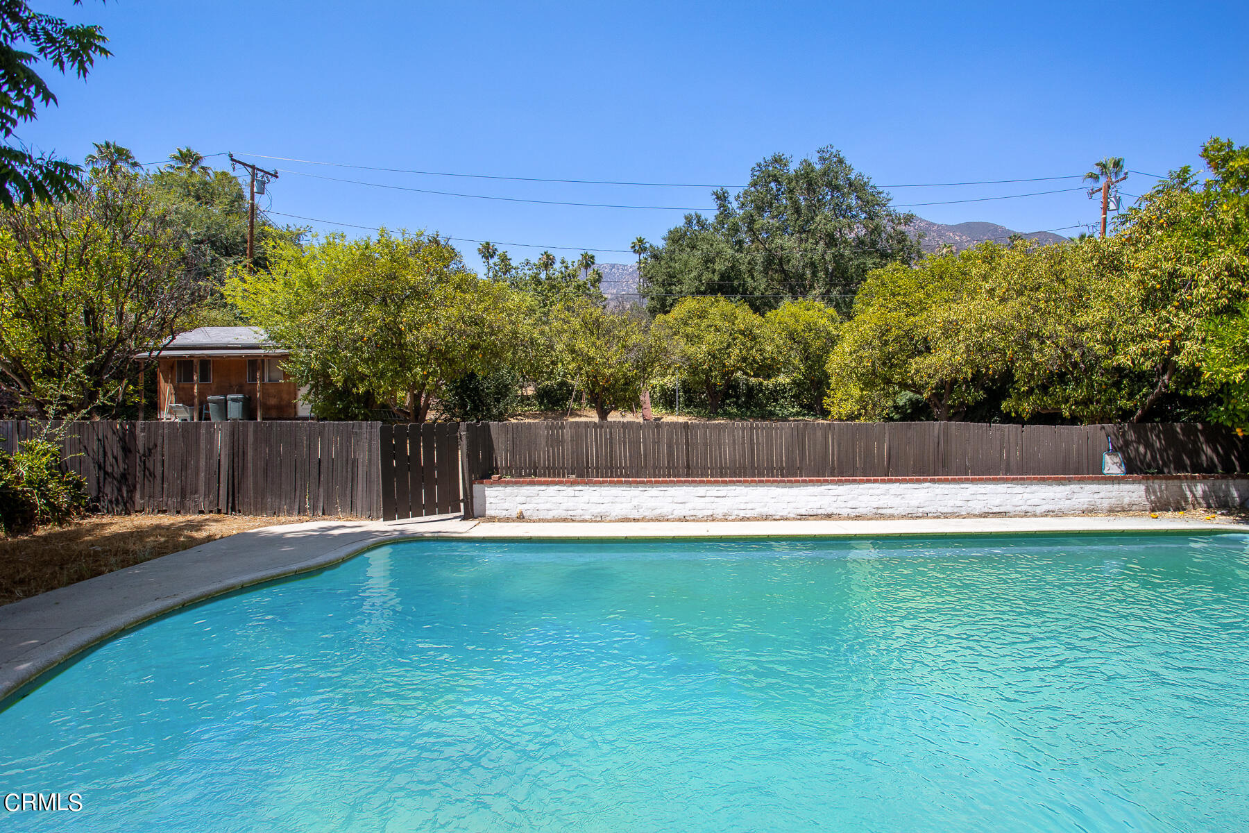 1647 Braeburn Road Altadena, CA 91001 - Photo 36 of 48 a view of a back yard
