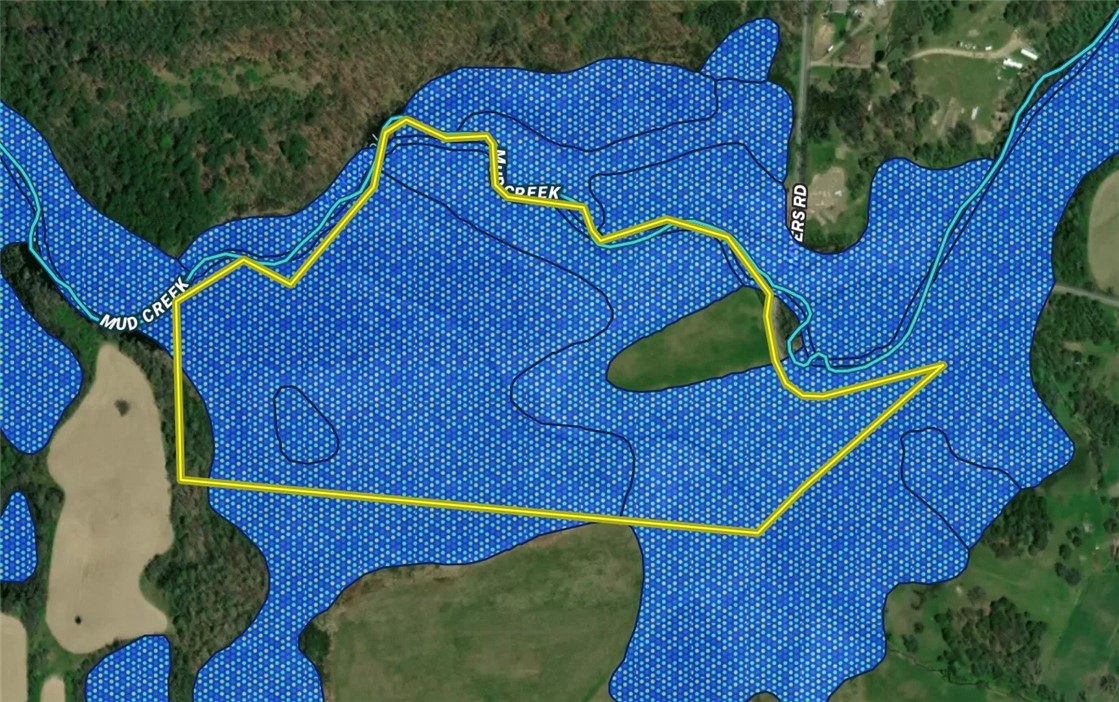 0 Myers Road Savona, NY 14879 - Photo 13 of 14