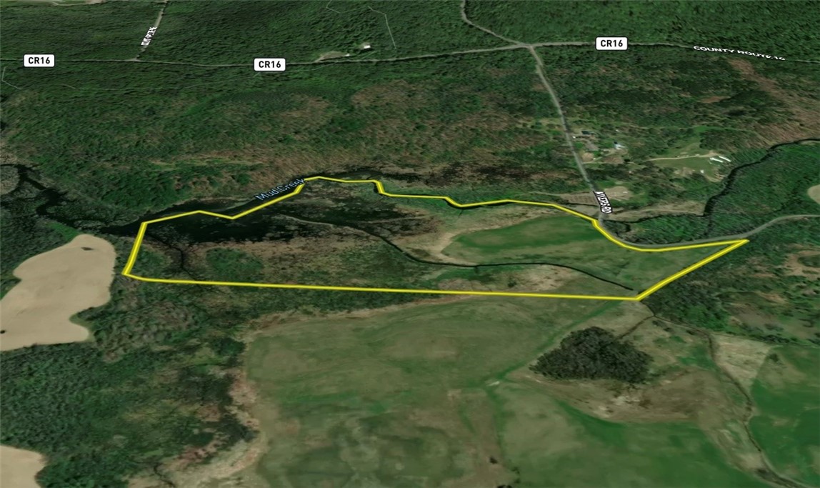 0 Myers Road Savona, NY 14879 - Photo 14 of 14