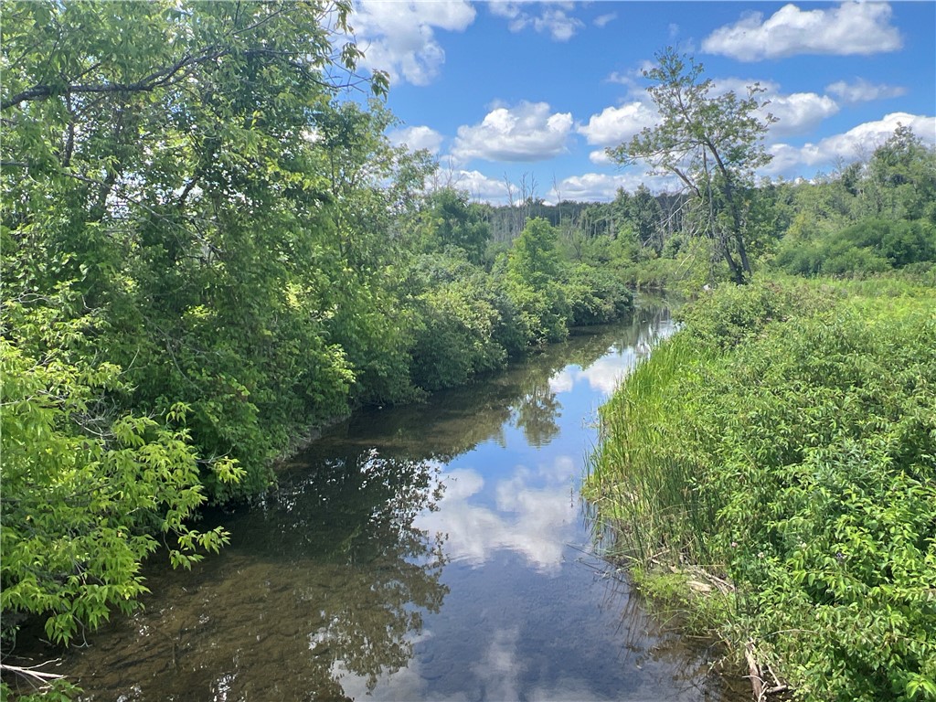 0 Myers Road Savona, NY 14879 - Photo 2 of 14