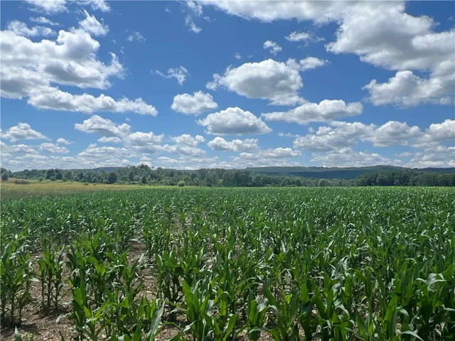 $164,900 | 0 Myers Road, Savona, NY 14879