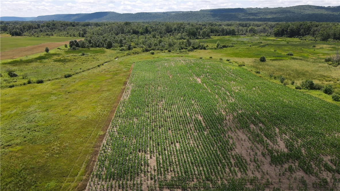 0 Myers Road Savona, NY 14879 - Photo 4 of 14