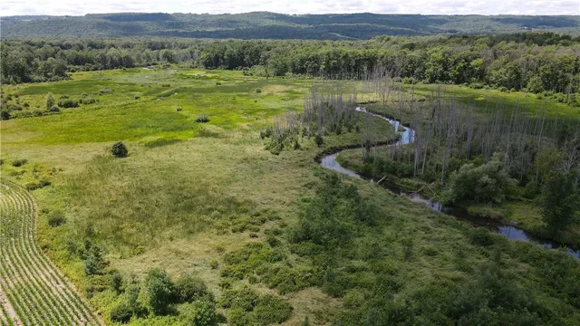 $164,900 | 0 Myers Road, Savona, NY 14879