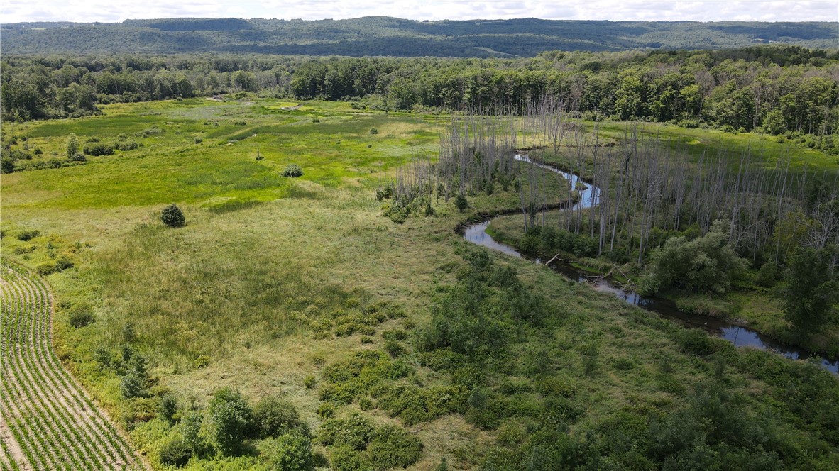 0 Myers Road Savona, NY 14879 - Photo 5 of 14