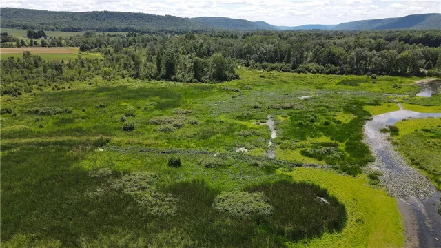 $164,900 | 0 Myers Road, Savona, NY 14879