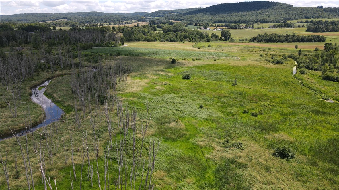 0 Myers Road Savona, NY 14879 - Photo 7 of 14